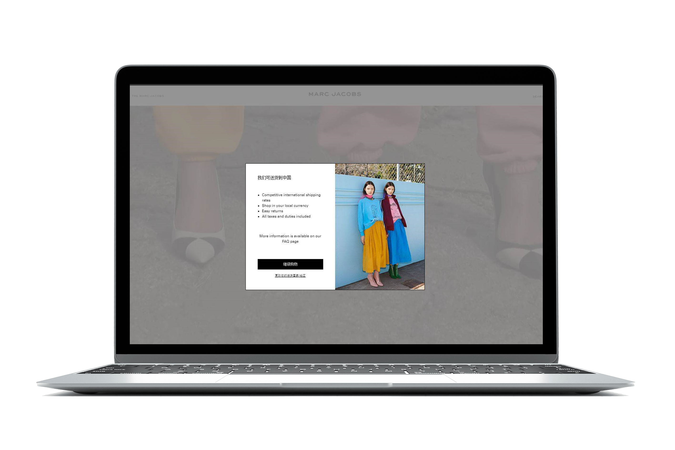 Laptop in screen Jonak website